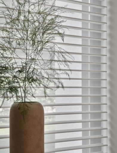 Witte horizontale jaloezie met vaas en groen